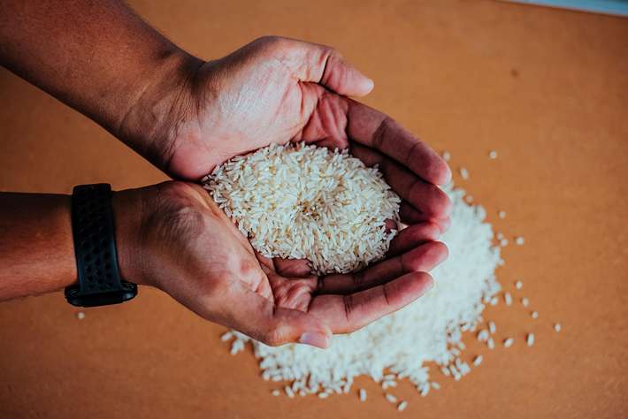 خرید برنج شمال اصل - برنج طارم و هاشمی مستقیم از کشاورز