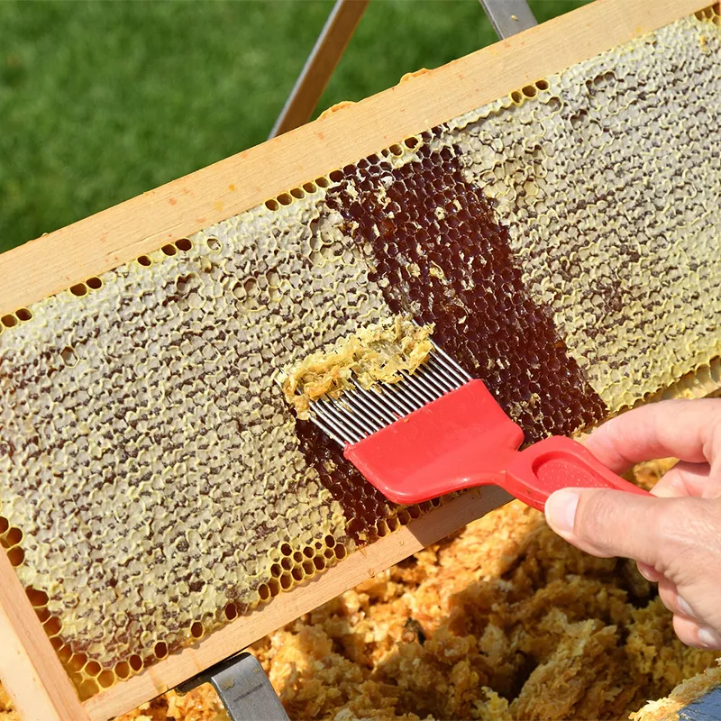 عسل طبیعی از کندودار واقعی - ازمزرعه