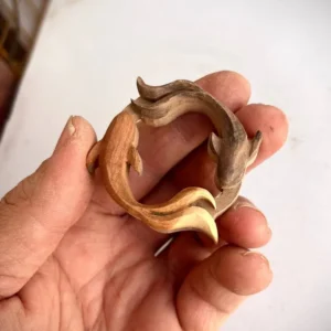 فرزاد بنی اسد - گالری ازمزرعه