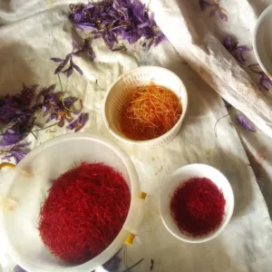 مصطفی احمدی - گالری ازمزرعه