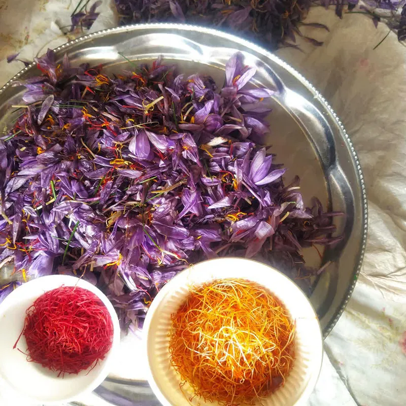 زعفران اصل