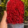زرشک زیرتالاری 250 گرمی 3